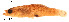  ( - stri-11749)  @13 [ ] Unspecified (default): All Rights Reserved  Unspecified Unspecified