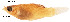  ( - stri-12363)  @13 [ ] Unspecified (default): All Rights Reserved  Unspecified Unspecified