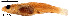  ( - stri-12430)  @13 [ ] Unspecified (default): All Rights Reserved  Unspecified Unspecified