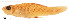  ( - stri-12451)  @13 [ ] Unspecified (default): All Rights Reserved  Unspecified Unspecified
