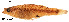  ( - stri-12604)  @13 [ ] Unspecified (default): All Rights Reserved  Unspecified Unspecified