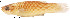  ( - stri-13376)  @14 [ ] Unspecified (default): All Rights Reserved  Unspecified Unspecified
