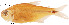  ( - stri-1346)  @14 [ ] Unspecified (default): All Rights Reserved  Unspecified Unspecified