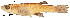  ( - stri-15325)  @13 [ ] Unspecified (default): All Rights Reserved  Unspecified Unspecified