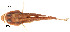  ( - stri-15363)  @12 [ ] Unspecified (default): All Rights Reserved  Unspecified Unspecified