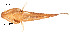  ( - stri-15363)  @12 [ ] Unspecified (default): All Rights Reserved  Unspecified Unspecified