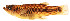  ( - stri-15465)  @14 [ ] Unspecified (default): All Rights Reserved  Unspecified Unspecified