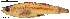  ( - stri-15487)  @14 [ ] Unspecified (default): All Rights Reserved  Unspecified Unspecified