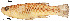  ( - stri-15526)  @13 [ ] Unspecified (default): All Rights Reserved  Unspecified Unspecified