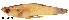  ( - stri-15874)  @13 [ ] Unspecified (default): All Rights Reserved  Unspecified Unspecified