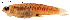  ( - stri-16142)  @12 [ ] Unspecified (default): All Rights Reserved  Unspecified Unspecified