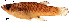  ( - stri-1681)  @12 [ ] Unspecified (default): All Rights Reserved  Unspecified Unspecified