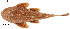  ( - stri-1686)  @13 [ ] Unspecified (default): All Rights Reserved  Unspecified Unspecified