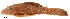  ( - stri-1686)  @13 [ ] Unspecified (default): All Rights Reserved  Unspecified Unspecified
