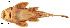  ( - stri-1686)  @13 [ ] Unspecified (default): All Rights Reserved  Unspecified Unspecified