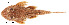  ( - stri-1687)  @14 [ ] Unspecified (default): All Rights Reserved  Unspecified Unspecified