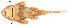  ( - stri-1687)  @13 [ ] Unspecified (default): All Rights Reserved  Unspecified Unspecified