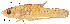  ( - stri-16991)  @13 [ ] Unspecified (default): All Rights Reserved  Unspecified Unspecified