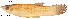  ( - stri-17080)  @13 [ ] Unspecified (default): All Rights Reserved  Unspecified Unspecified