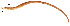  ( - stri-1711)  @11 [ ] Unspecified (default): All Rights Reserved  Unspecified Unspecified