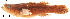  ( - stri-1725)  @14 [ ] Unspecified (default): All Rights Reserved  Unspecified Unspecified