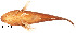  ( - stri-1725)  @12 [ ] Unspecified (default): All Rights Reserved  Unspecified Unspecified