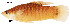  ( - stri-1736)  @11 [ ] Unspecified (default): All Rights Reserved  Unspecified Unspecified