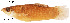 ( - stri-1737)  @13 [ ] Unspecified (default): All Rights Reserved  Unspecified Unspecified