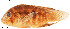  ( - stri-1752)  @14 [ ] Unspecified (default): All Rights Reserved  Unspecified Unspecified