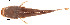  ( - stri-17754)  @14 [ ] Unspecified (default): All Rights Reserved  Unspecified Unspecified
