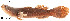  ( - stri-17754)  @13 [ ] Unspecified (default): All Rights Reserved  Unspecified Unspecified