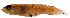  ( - stri-17817)  @12 [ ] Unspecified (default): All Rights Reserved  Unspecified Unspecified