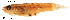  ( - stri-17817)  @13 [ ] Unspecified (default): All Rights Reserved  Unspecified Unspecified