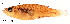  ( - stri-18611)  @13 [ ] Unspecified (default): All Rights Reserved  Unspecified Unspecified