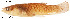  ( - stri-18614)  @13 [ ] Unspecified (default): All Rights Reserved  Unspecified Unspecified