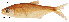  ( - stri-259)  @11 [ ] Unspecified (default): All Rights Reserved  Unspecified Unspecified