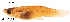  ( - stri-2594)  @13 [ ] Unspecified (default): All Rights Reserved  Unspecified Unspecified