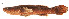  ( - stri-2892)  @14 [ ] Unspecified (default): All Rights Reserved  Unspecified Unspecified