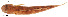  ( - stri-3170)  @12 [ ] Unspecified (default): All Rights Reserved  Unspecified Unspecified