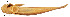  ( - stri-3170)  @12 [ ] Unspecified (default): All Rights Reserved  Unspecified Unspecified