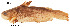  ( - stri-3419)  @14 [ ] Unspecified (default): All Rights Reserved  Unspecified Unspecified