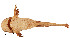  ( - stri-3419)  @12 [ ] Unspecified (default): All Rights Reserved  Unspecified Unspecified