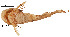  ( - stri-3420)  @12 [ ] Unspecified (default): All Rights Reserved  Unspecified Unspecified