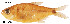  ( - stri-3467)  @11 [ ] Unspecified (default): All Rights Reserved  Unspecified Unspecified
