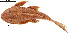  ( - stri-3658)  @11 [ ] Unspecified (default): All Rights Reserved  Unspecified Unspecified