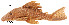  ( - stri-3658)  @11 [ ] Unspecified (default): All Rights Reserved  Unspecified Unspecified
