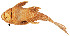  ( - stri-3658)  @11 [ ] Unspecified (default): All Rights Reserved  Unspecified Unspecified
