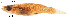 ( - STRI-3707)  @13 [ ] Unspecified (default): All Rights Reserved  Unspecified Unspecified