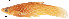  ( - stri-4025)  @13 [ ] Unspecified (default): All Rights Reserved  Unspecified Unspecified