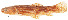  ( - stri-4075)  @12 [ ] Unspecified (default): All Rights Reserved  Unspecified Unspecified